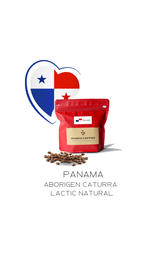 パナマ アボリヘン カトゥーラ ラクティックナチュラル　¥3500/100g